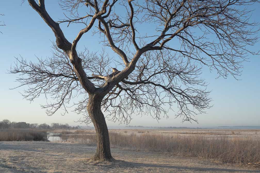 ILCE-7M3  --  E 28-200mm F2.8-5.6 A071 -- 1/320 sec at f / 7.1 -- ISO 400 -- 0 EV -- 