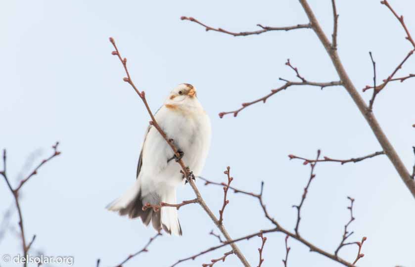 Canon EOS 7D Mark II  --  560 mm  --  EF100-400mm f/4.5-5.6L IS II USM +1.4x III  