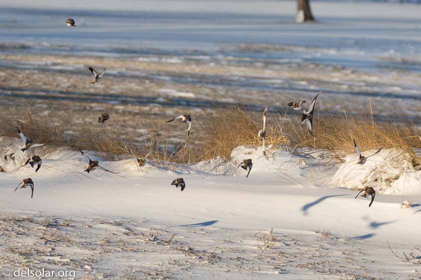 Canon EOS 5D Mark III  --  238 mm  --  EF100-400mm f/4.5-5.6L IS II USM +1.4x III  