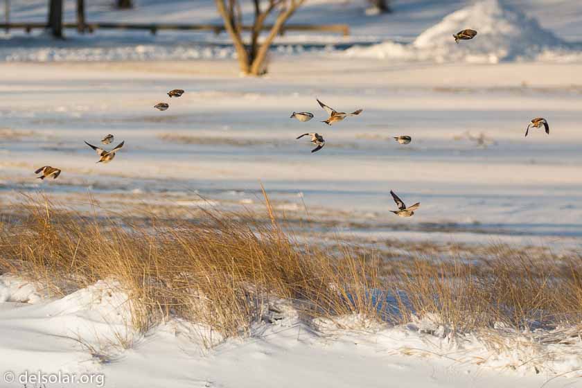 Canon EOS 5D Mark III  --  230 mm  --  EF100-400mm f/4.5-5.6L IS II USM +1.4x III  