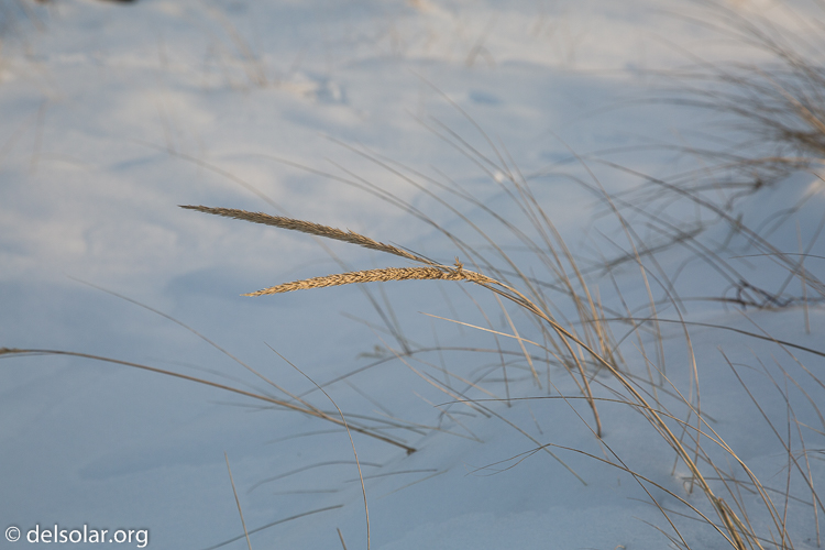 Canon EOS 5D Mark III  --  85 mm  --  EF24-105mm f/4L IS USM  