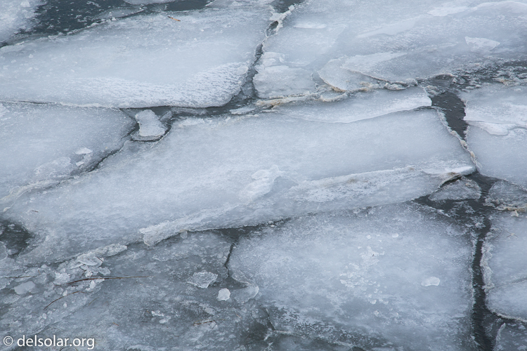 Canon EOS 5D Mark III  --  105 mm  --  EF24-105mm f/4L IS USM  