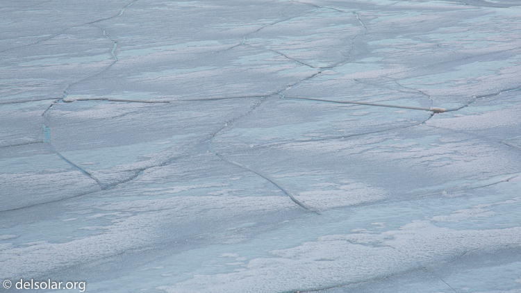 Canon EOS 5D Mark III  --  105 mm  --  EF24-105mm f/4L IS USM  