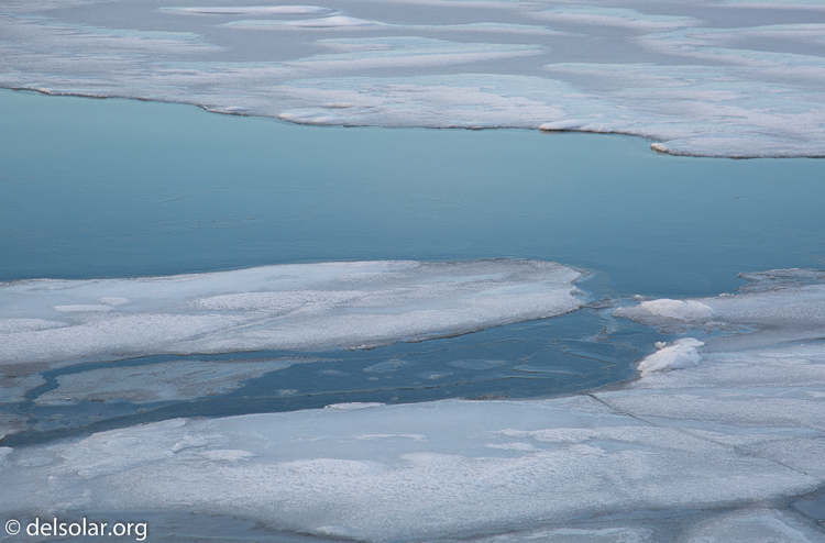 Canon EOS 5D Mark III  --  105 mm  --  EF24-105mm f/4L IS USM  