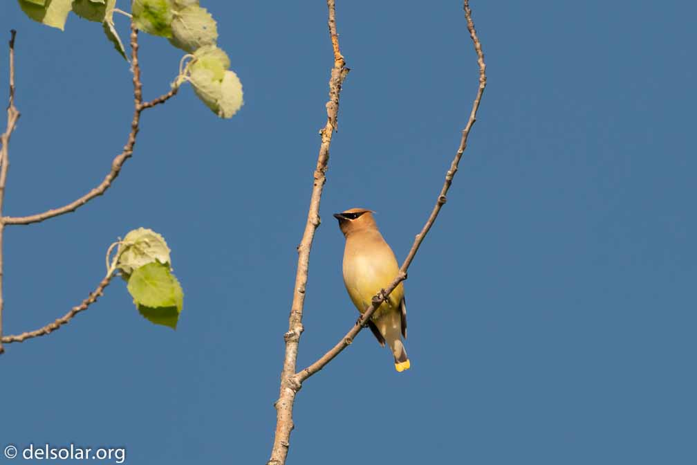 ILCE-6500  --  FE 200-600mm F5.6-6.3 G OSS -- 1/640 sec at f / 8.0 -- ISO 250 -- 0 EV -- 