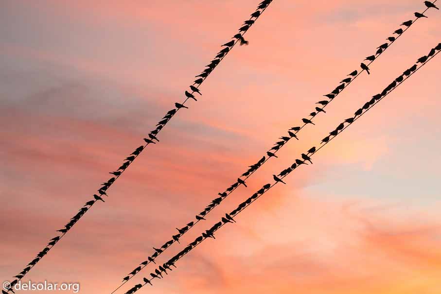 Canon EOS 5D Mark III  --  EF100-400mm f/4.5-5.6L IS II USM -- 1/50 sec at f / 6.3 -- ISO 125 -- 0 EV -- 