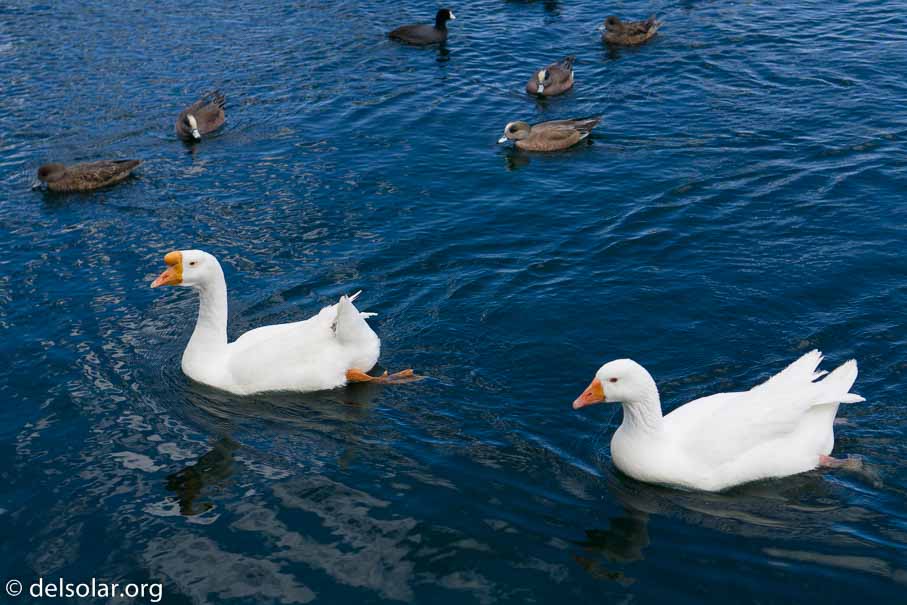 ILCE-6000  --  E 35mm F1.8 OSS -- 1/1600 sec at f / 3.2 -- ISO 125 -- 0 EV -- 