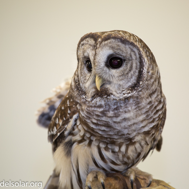 Canon EOS 5D Mark III  --  180 mm  --  EF70-200mm f/4L USM  