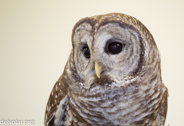 Canon EOS 5D Mark III  --  188 mm  --  EF70-200mm f/4L USM  