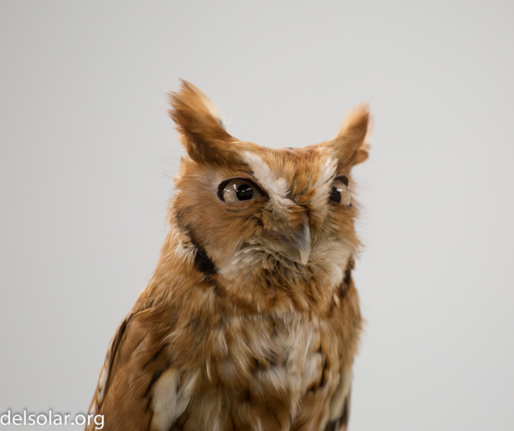 Canon EOS 5D Mark III  --  188 mm  --  EF70-200mm f/4L USM  