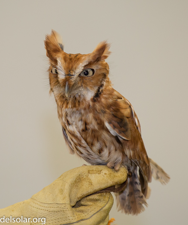 Canon EOS 5D Mark III  --  200 mm  --  EF70-200mm f/4L USM  