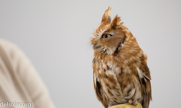 Canon EOS 5D Mark III  --  184 mm  --  EF70-200mm f/4L USM  