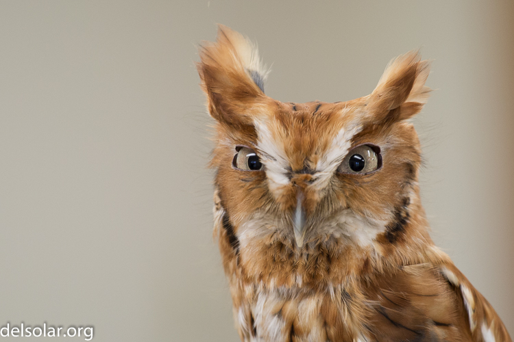 Canon EOS 5D Mark III  --  200 mm  --  EF70-200mm f/4L USM  