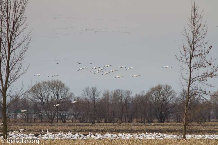 Canon EOS 7D  --  400 mm  --  EF400mm f/5.6L USM  