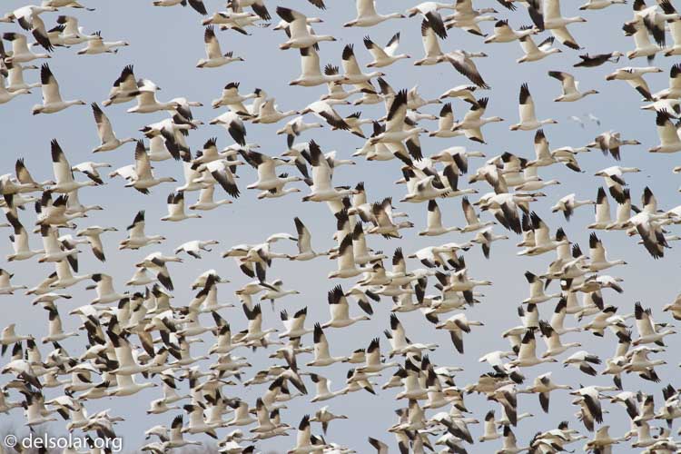 Canon EOS 7D  --  400 mm  --  EF400mm f/5.6L USM  