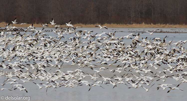 Canon EOS 7D  --  400 mm  --  EF400mm f/5.6L USM  