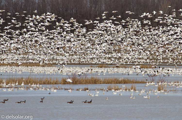 Canon EOS 7D  --  400 mm  --  EF400mm f/5.6L USM  