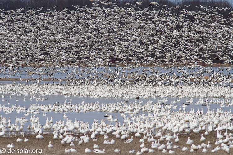 Canon EOS 7D  --  400 mm  --  EF400mm f/5.6L USM  