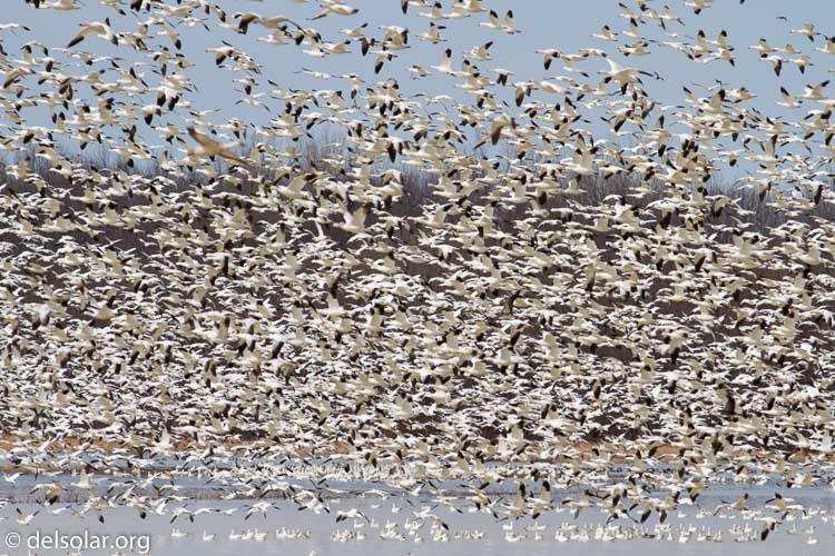 Canon EOS 7D  --  400 mm  --  EF400mm f/5.6L USM  