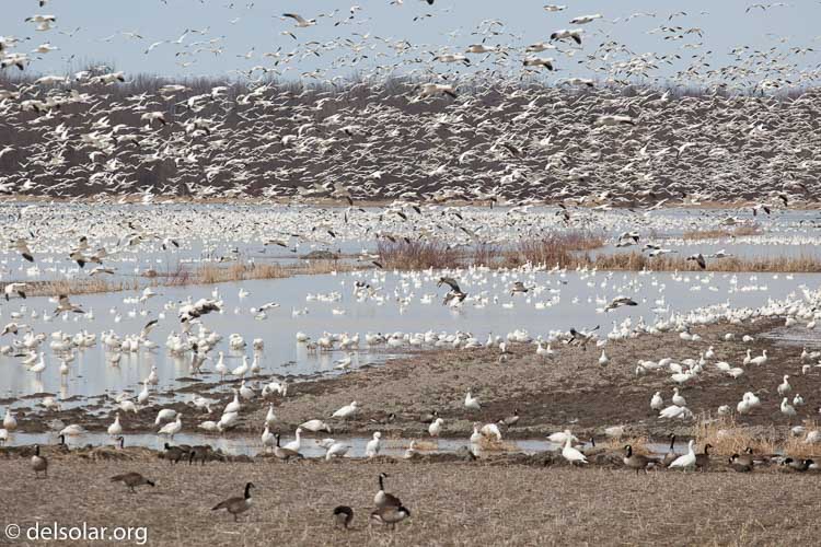 Canon EOS 5D Mark II  --  200 mm  --  EF70-200mm f/4L USM  