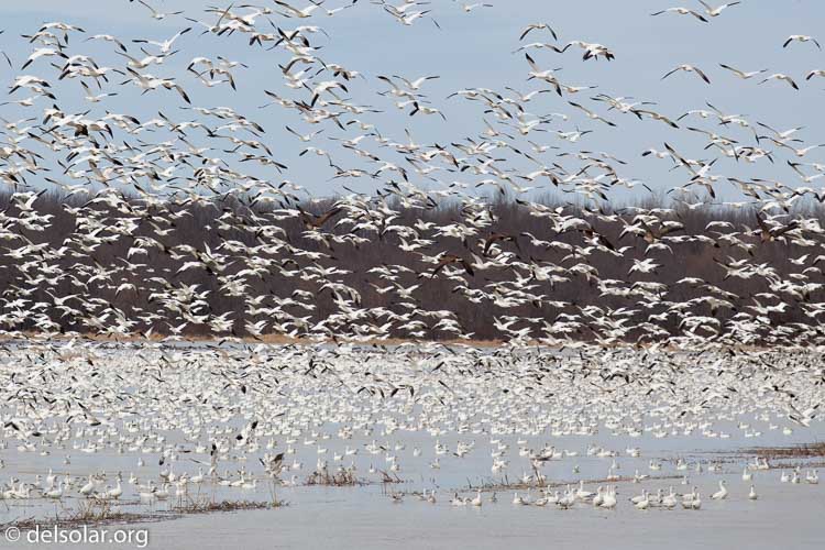 Canon EOS 5D Mark II  --  172 mm  --  EF70-200mm f/4L USM  