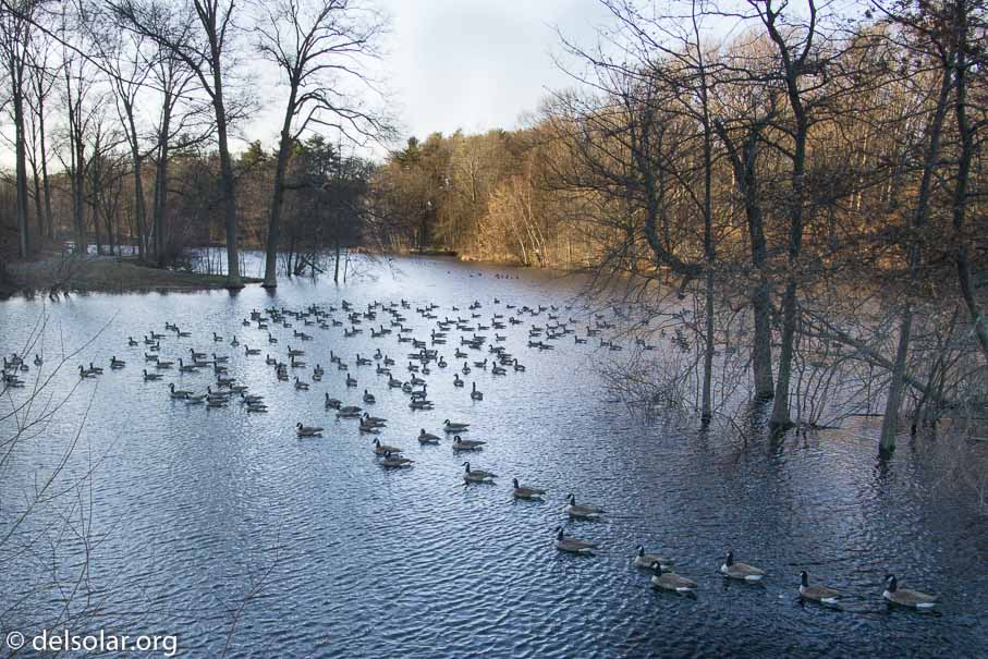 ILCE-6000  --  ---- -- 1/100 sec -- ISO 250 -- 0 EV -- 