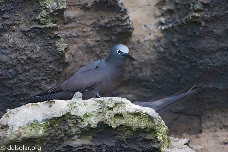 Canon EOS 40D  --  200 mm  --  EF70-200mm f/4L USM  