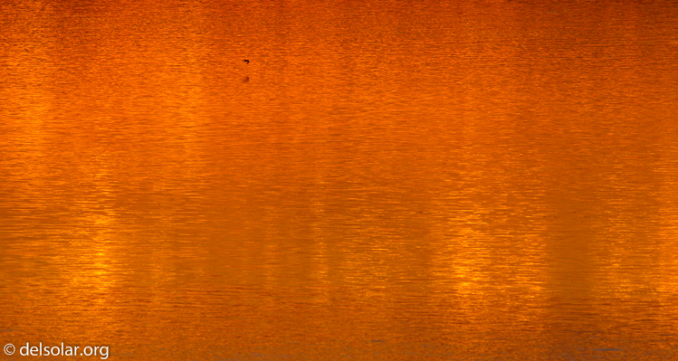 Canon EOS 7D  --  400 mm  --  EF400mm f/5.6L USM  