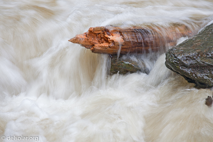 Canon EOS 5D Mark II  --  200 mm  --  EF70-200mm f/4L USM  