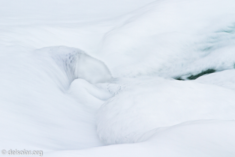 Canon EOS 7D  --  400 mm  --  EF400mm f/5.6L USM  