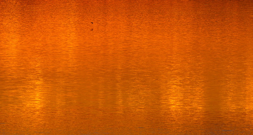 Canon EOS 7D - EF400mm f/5.6L USM