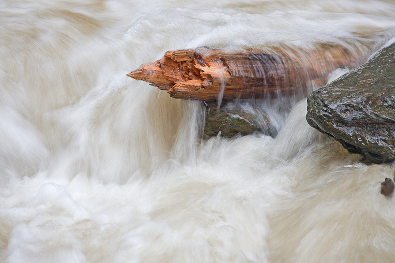 Canon EOS 5D Mark II - EF70-200mm f/4L USM