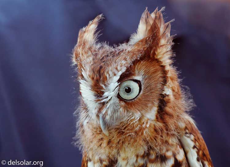 Canon EOS DIGITAL REBEL XT  --  200 mm  --    