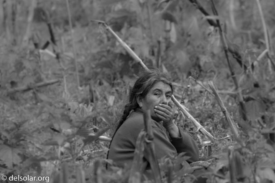 Canon EOS 7D Mark II  --  400 mm  --  EF100-400mm f/4.5-5.6L IS II USM  