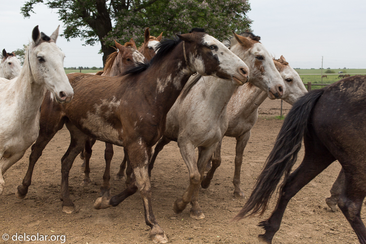 Canon EOS 5D Mark III  --  40 mm  --  EF40mm f/2.8 STM  