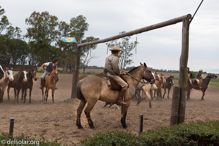 Canon EOS 5D Mark III  --  40 mm  --  EF40mm f/2.8 STM  