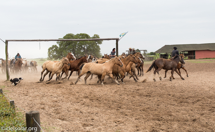Canon EOS 5D Mark III  --  40 mm  --  EF40mm f/2.8 STM  