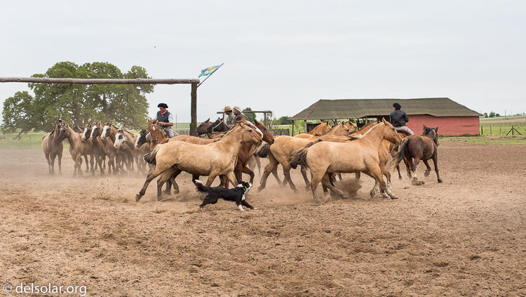 Canon EOS 5D Mark III  --  40 mm  --  EF40mm f/2.8 STM  