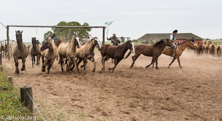 Canon EOS 5D Mark III  --  40 mm  --  EF40mm f/2.8 STM  