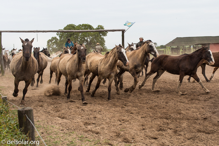 Canon EOS 5D Mark III  --  40 mm  --  EF40mm f/2.8 STM  