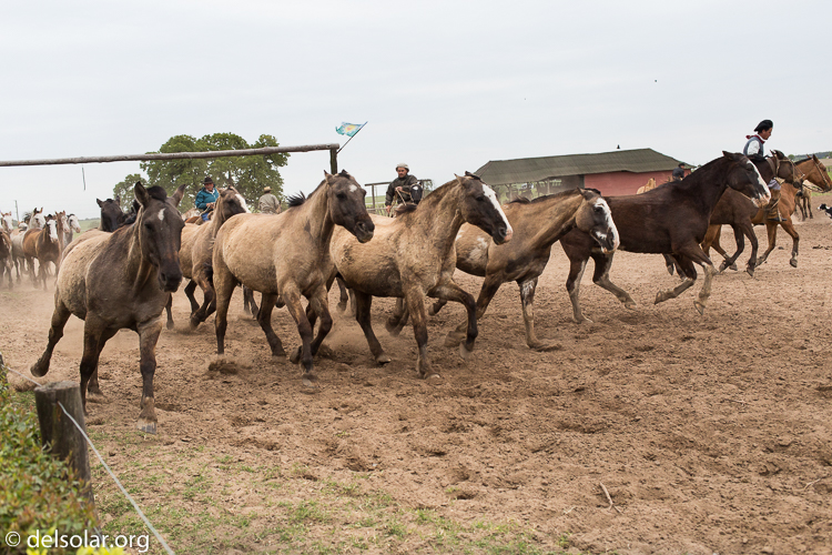 Canon EOS 5D Mark III  --  40 mm  --  EF40mm f/2.8 STM  