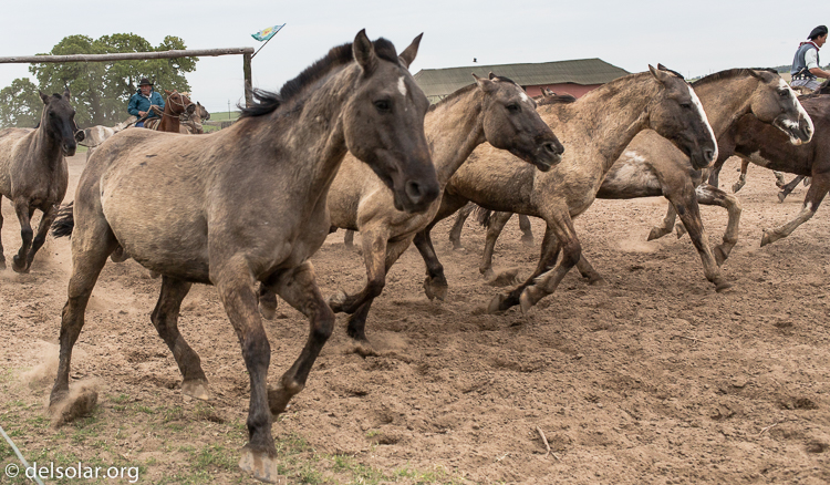 Canon EOS 5D Mark III  --  40 mm  --  EF40mm f/2.8 STM  
