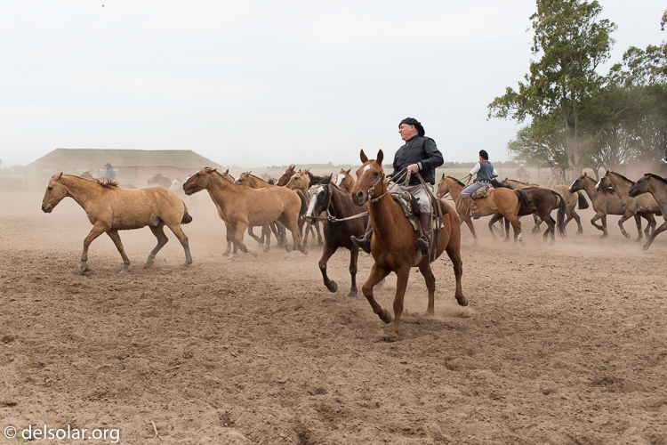 Canon EOS 5D Mark III  --  40 mm  --  EF40mm f/2.8 STM  