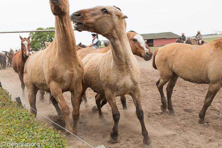 Canon EOS 5D Mark III  --  40 mm  --  EF40mm f/2.8 STM  