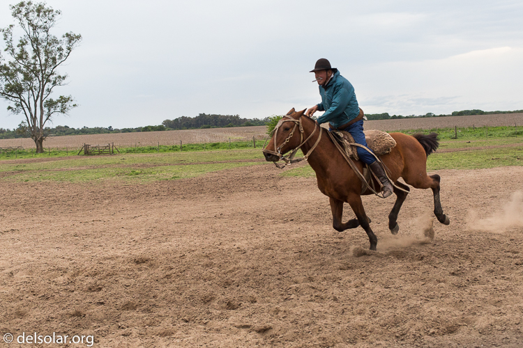 Canon EOS 5D Mark III  --  40 mm  --  EF40mm f/2.8 STM  
