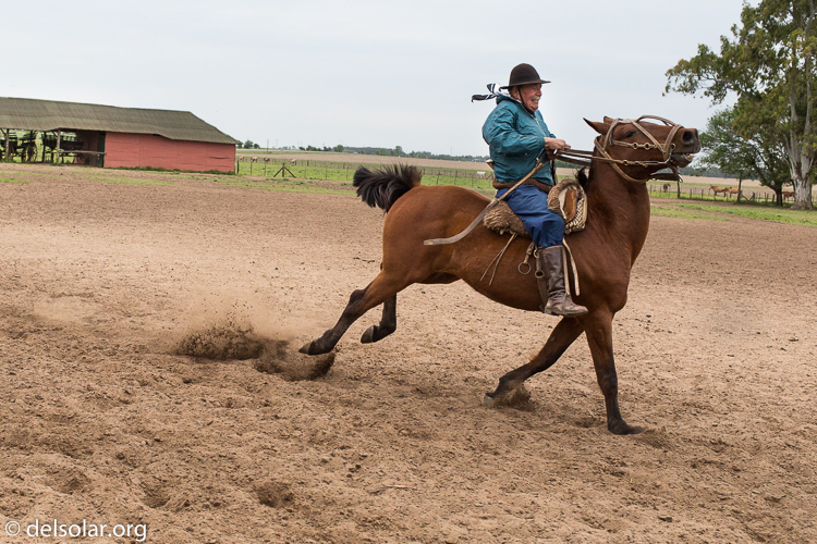 Canon EOS 5D Mark III  --  40 mm  --  EF40mm f/2.8 STM  