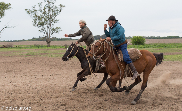 Canon EOS 5D Mark III  --  40 mm  --  EF40mm f/2.8 STM  