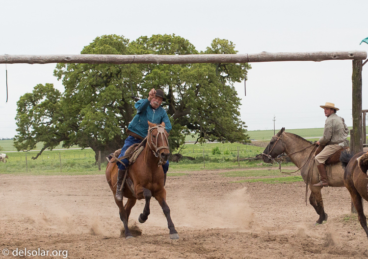 Canon EOS 5D Mark III  --  40 mm  --  EF40mm f/2.8 STM  