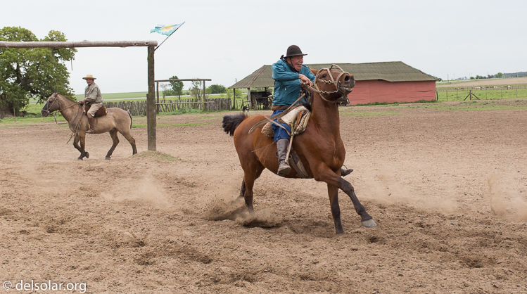 Canon EOS 5D Mark III  --  40 mm  --  EF40mm f/2.8 STM  