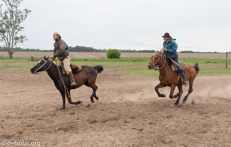 Canon EOS 5D Mark III  --  40 mm  --  EF40mm f/2.8 STM  